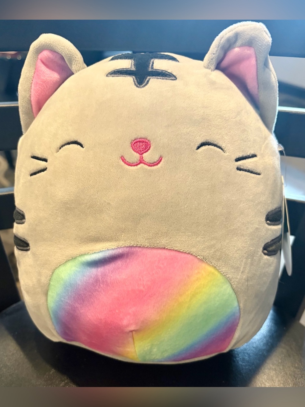 BNWT Tally the cat 8” Squishmallows